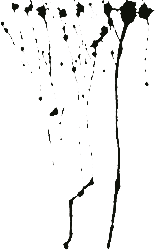 Порча Порча