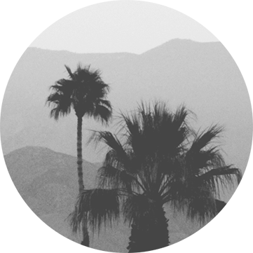 Семь мужей Эвелин Хьюго Семь мужей Эвелин Хьюго