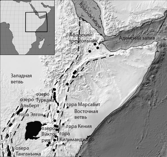 Происхождение. Как Земля создала нас Происхождение. Как Земля создала нас