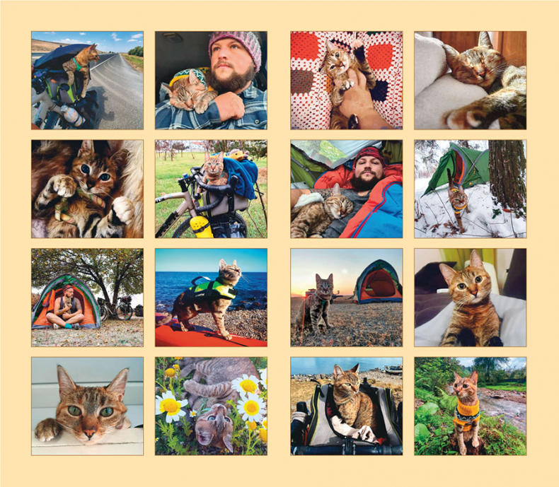 Мир Налы Мир Налы