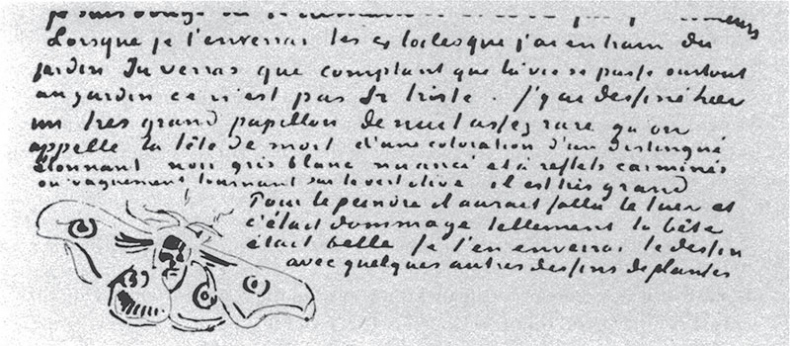 Мечтавший о солнце. Письма 1883–1890 годов Мечтавший о солнце. Письма 1883–1890 годов