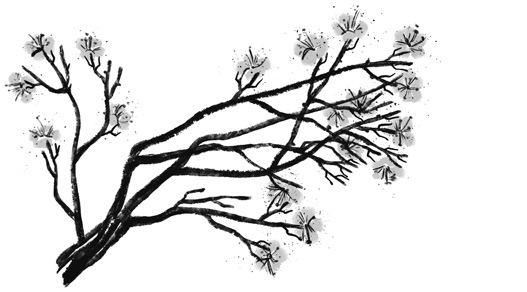 Императрица Соли и Жребия