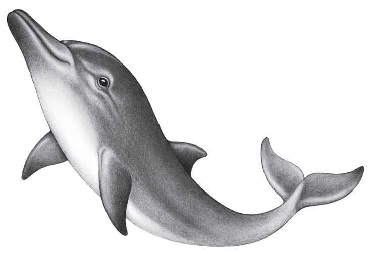 Водный заговор Водный заговор