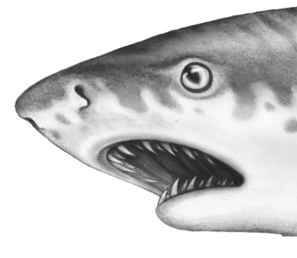 Водный заговор Водный заговор