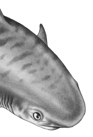 Водный заговор Водный заговор