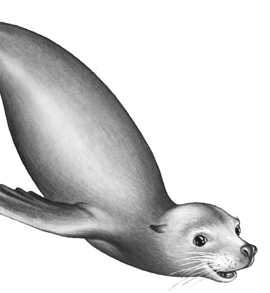 Водный заговор