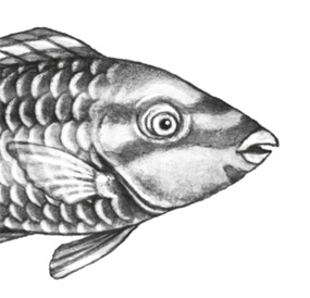 Водный заговор