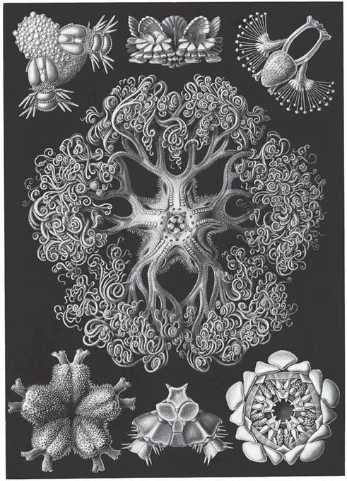 Тест Роршаха. Герман Роршах, его тест и сила видения Тест Роршаха. Герман Роршах, его тест и сила видения