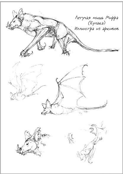 Беззвездный Венец Беззвездный Венец