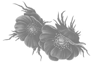 Урок возмездия Урок возмездия