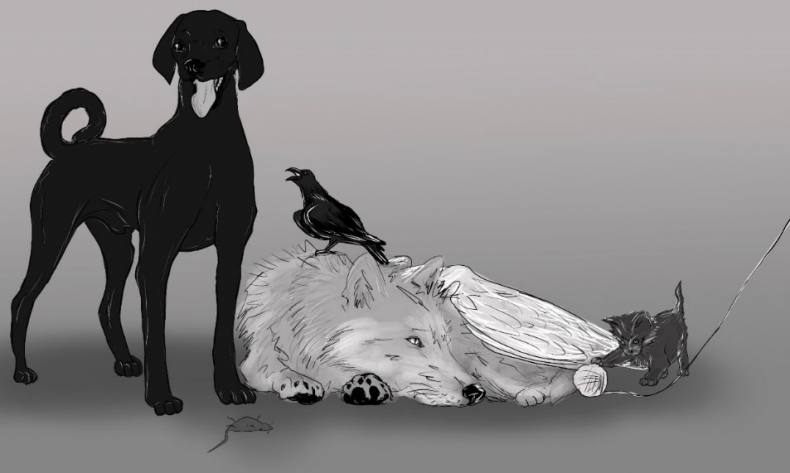 Магия губит