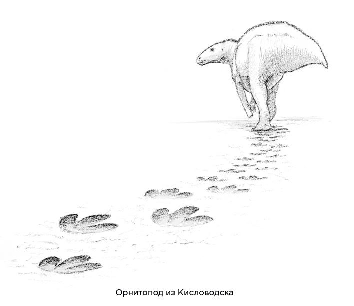 Динозавры России. Прошлое, настоящее, будущее Динозавры России. Прошлое, настоящее, будущее