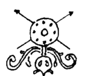 Иван Грозный. Двойной портрет Иван Грозный. Двойной портрет