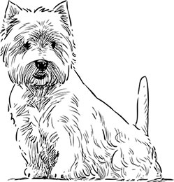 Самая белая ночь Самая белая ночь