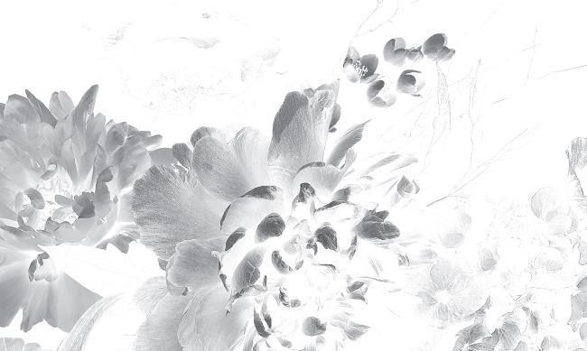 О женщинах и соли