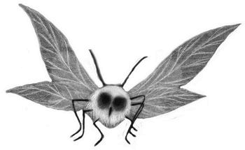 Давай играть Давай играть