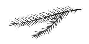 Охота на маленькую щуку