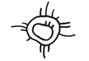 Охота на маленькую щуку