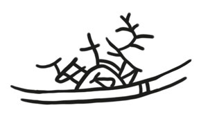 Охота на маленькую щуку