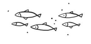 Охота на маленькую щуку