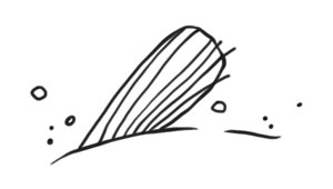 Охота на маленькую щуку