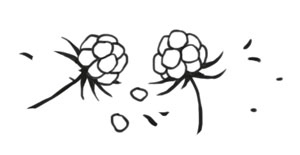 Охота на маленькую щуку