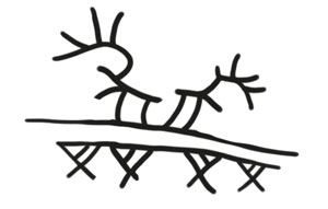 Охота на маленькую щуку