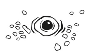 Охота на маленькую щуку