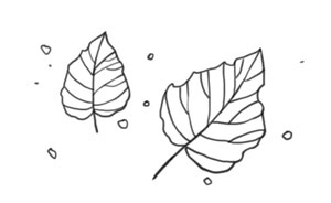 Охота на маленькую щуку