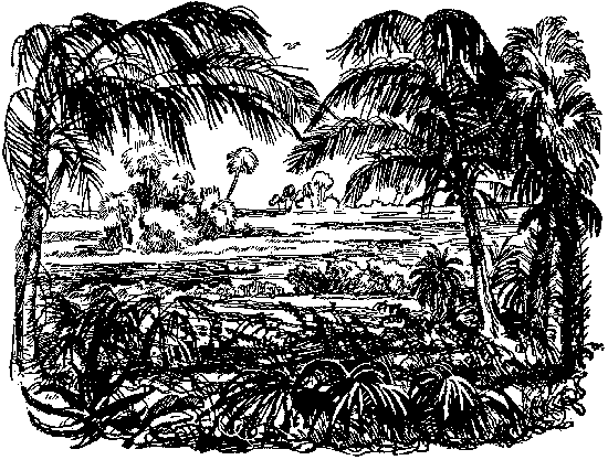 Оцеола, вождь семинолов. Морской волчонок Оцеола, вождь семинолов. Морской волчонок