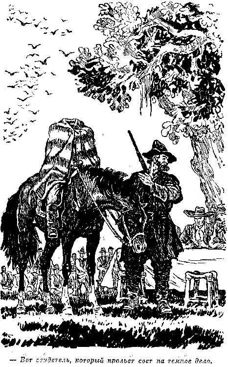 Мароны. Всадник без головы Мароны. Всадник без головы