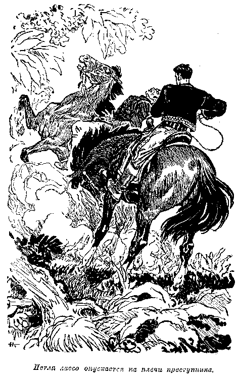 Мароны. Всадник без головы Мароны. Всадник без головы