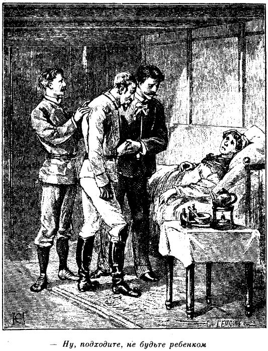 Приключения в стране львов Приключения в стране львов