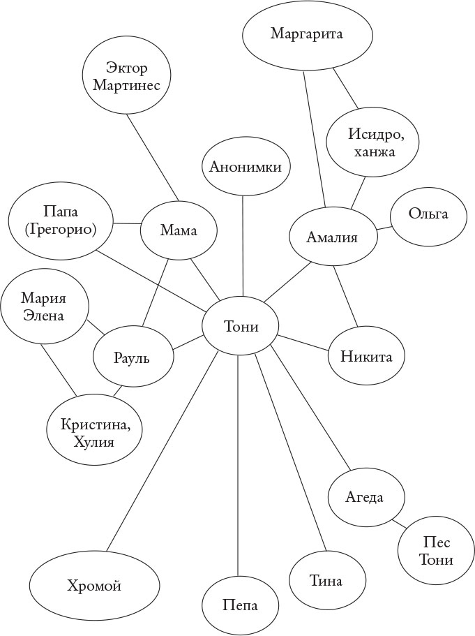 Стрижи Стрижи