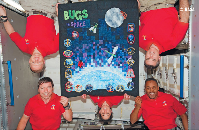 Назад на Землю. Что мне открыла жизнь в космосе о нашей родной планете и о миссии по защите Земли Назад на Землю. Что мне открыла жизнь в космосе о нашей родной планете и о миссии по защите Земли