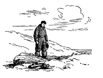 Два капитана Два капитана