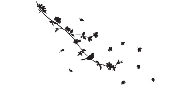 Голос пойманной птицы Голос пойманной птицы