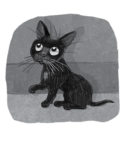 Бутербродный вор Бутербродный вор