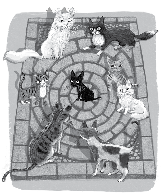 Бутербродный вор Бутербродный вор