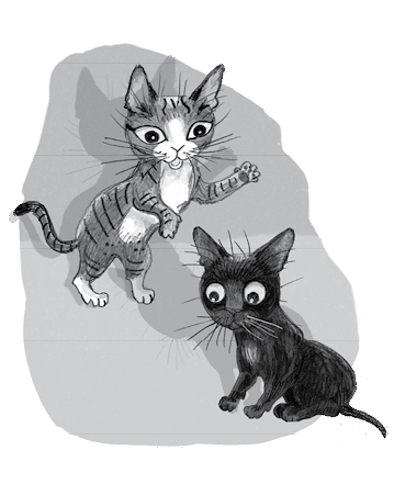 Бутербродный вор Бутербродный вор