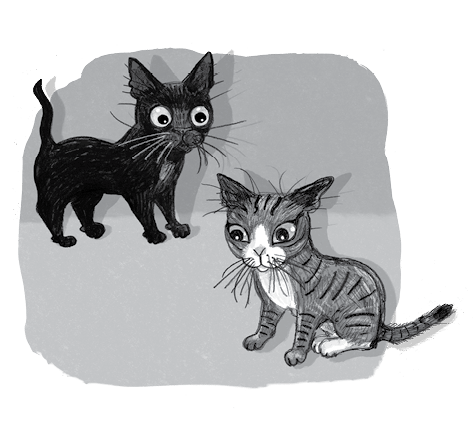 Бутербродный вор Бутербродный вор