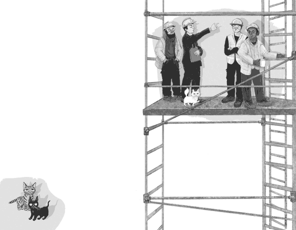 Проклятие кошачьего папируса Проклятие кошачьего папируса