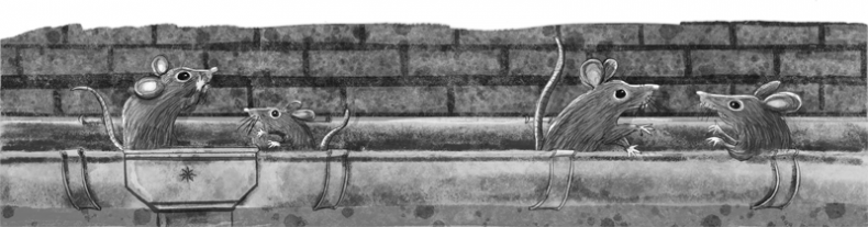 Проклятие кошачьего папируса