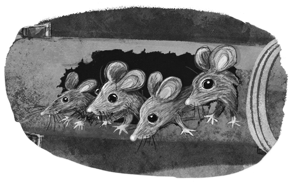 Проклятие кошачьего папируса