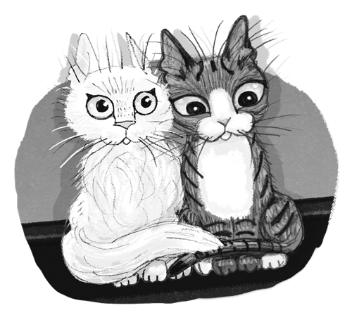 Проклятие кошачьего папируса