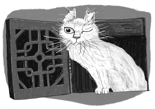 Проклятие кошачьего папируса