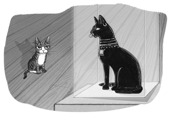 Проклятие кошачьего папируса