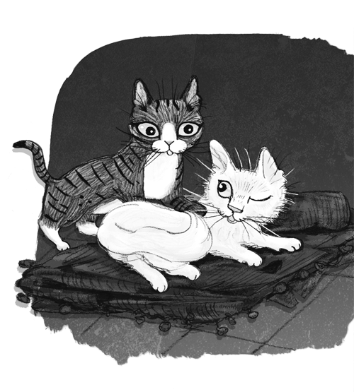 Ночёвка с грабителями Ночёвка с грабителями