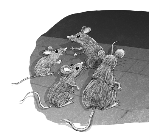 Ночёвка с грабителями