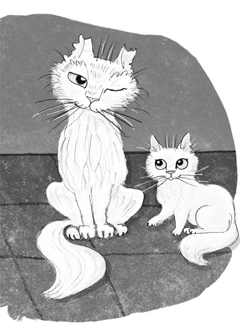 Ночёвка с грабителями